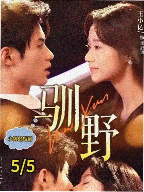 悟空在线刑侦剧雾港迷局全集